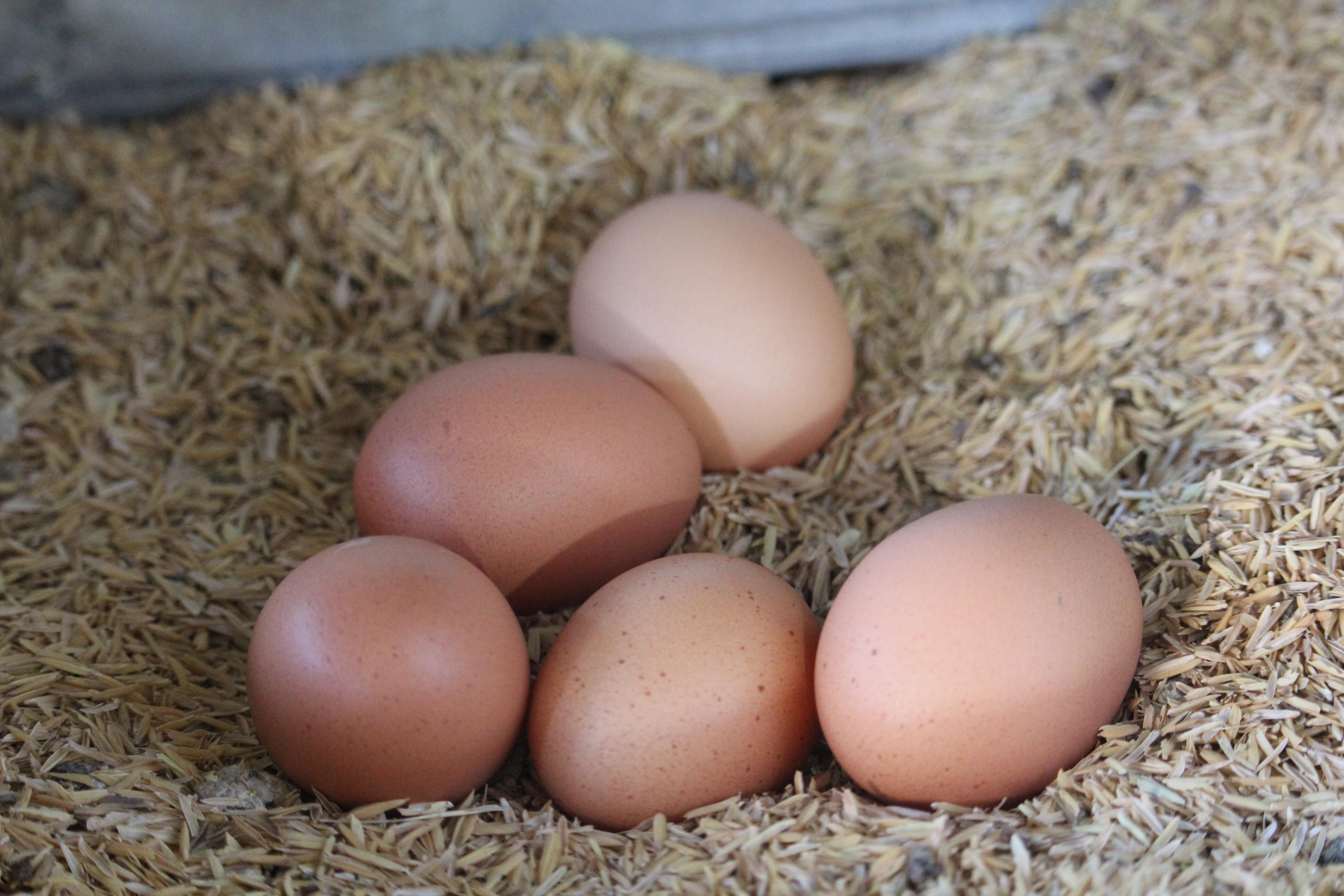 Bootstrap Examples Site